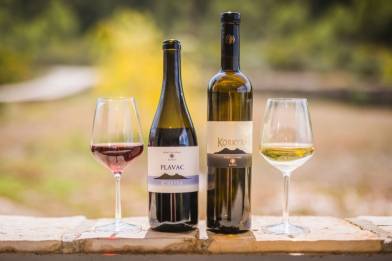 Korčula Wines: Tastes of Tradition and Quality from the Island of Korčula