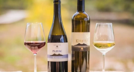 Korčula Wines: Tasting the Tradition and Quality of Korčula Island